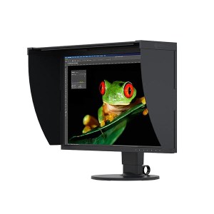 CG2420